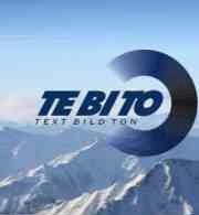 tebitologo.jpg (7305 Byte)